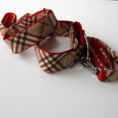 Martingale check set