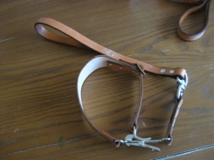 Starterhalsband