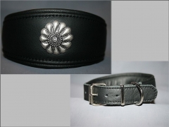 No. 320 unterlegtes Windhundhalsband