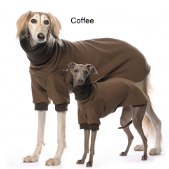 DG Basic Winter Sweatshirt 2024