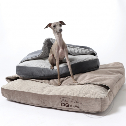 Whippet bed discount