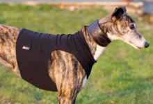 Shirt aus TACTEL