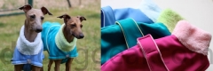 Jacke IG Rainbow
