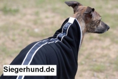 Sport Tek Jacke II