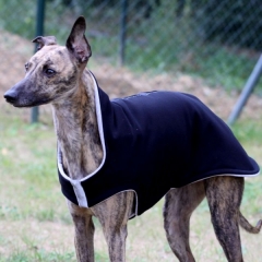 Sport Tek Jacke II