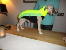 Safety Neon Top Shirt Fleece