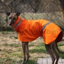 Safety Raincoat