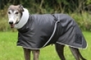 Outdoor plus silver jacket