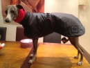Outdoor plus silver jacket
