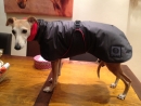 Outdoor plus silver jacket