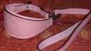 Exklusives unterlegtes Starterhalsband