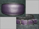 No. 344 unterlegtes Lederhalsband