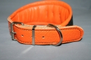 No. 352 Windhund Lederhalsband oben Filz