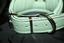 No 231 Windhundhalsband