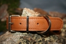 No.113 Windhundhalsband