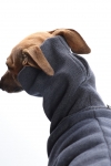 DG Basic Winter Sweatshirt