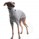 DG Basic Winter Sweatshirt
