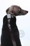 DG Sport Fleece Jacke 2019