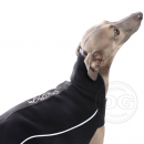 DG Sport Tek Jacke 2021