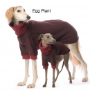 DG Basic Winter Sweatshirt 2024