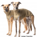DG Urban Jumper Fleece